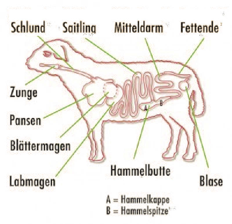 Schafsdarm category icon/image