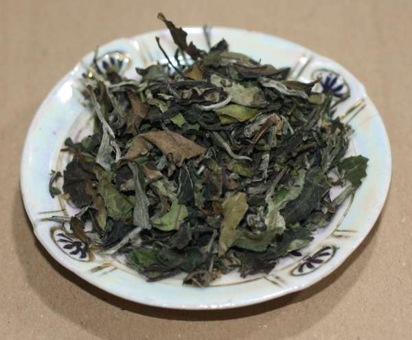 Weißer Tee: Paai Mu Tan
